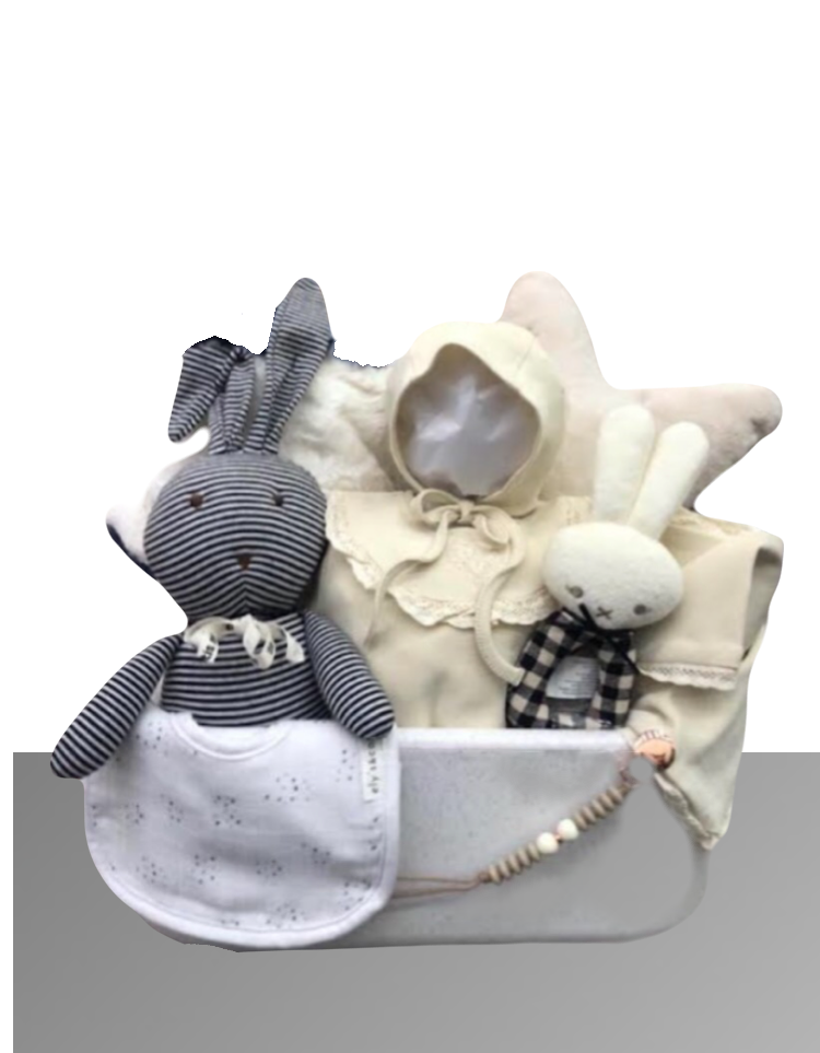 Newborn Baby Gift Set – Doll Cradle with Baby Clothes, Toys for a New Baby Boy