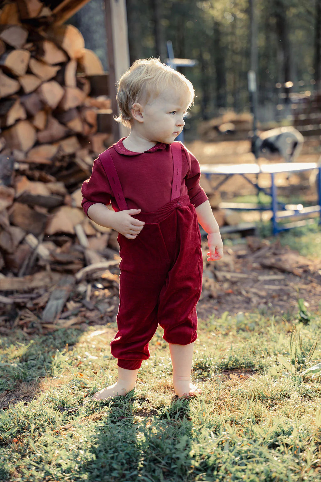 Mini Nod Wine Velour Overalls with Model Collared Top
