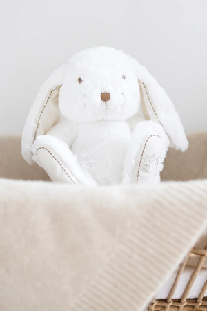 Tartine et Chocolat Augustin the Rabbit