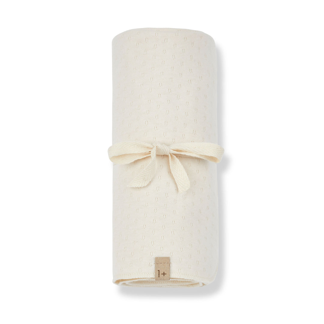 1+ in the Family Asis Ivory Blanket