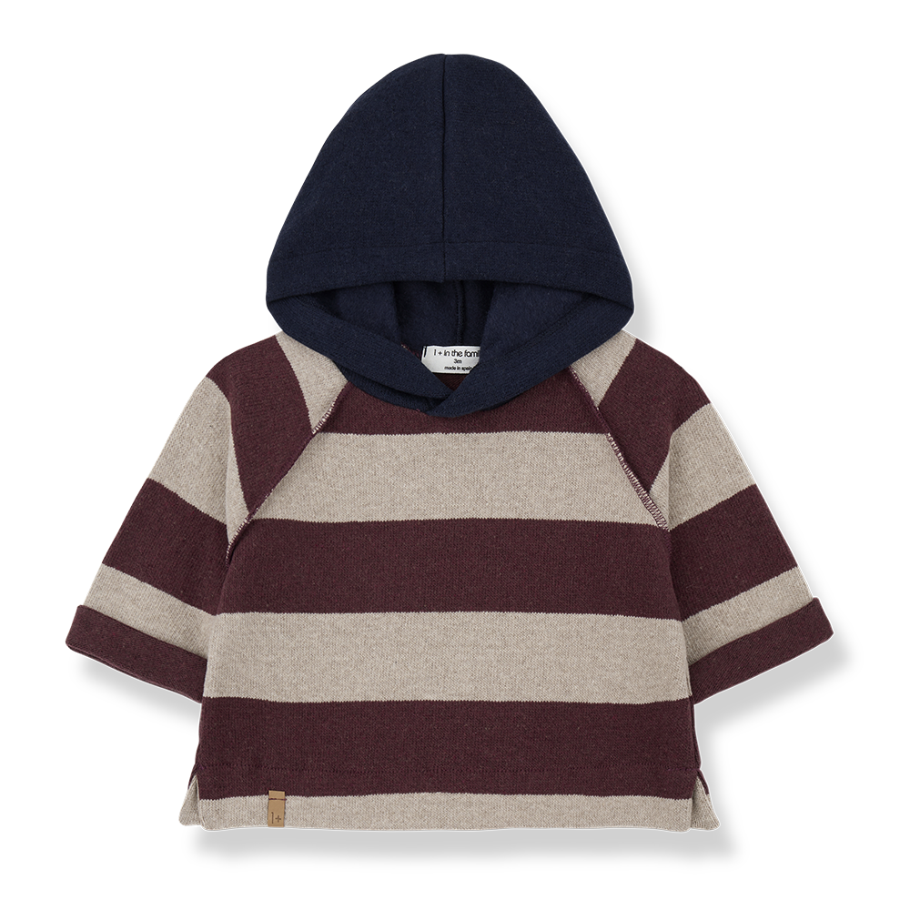 1+ in the Family Jakob Melanzana Hooded Sweater