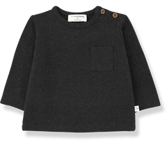 1+ in the family Long Sleeve Tshirt