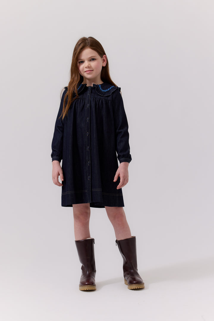 Cottier Blue Jill Dress