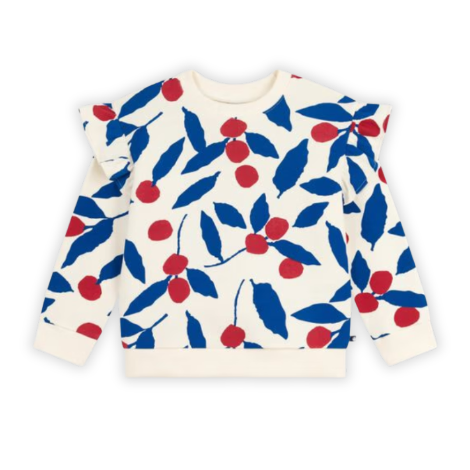 Sweater with blue and red leaf pattern on a white background