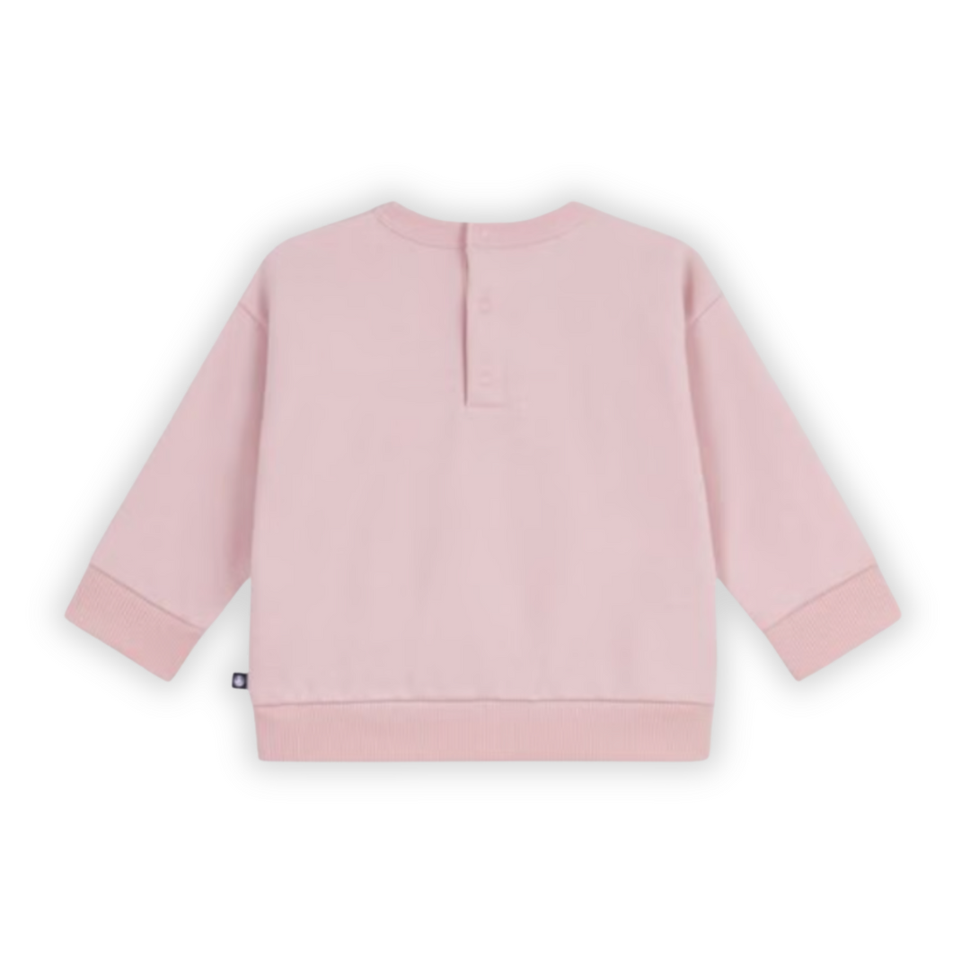 Petit Bateau | Joli Embroidered Cotton Sweatshirt