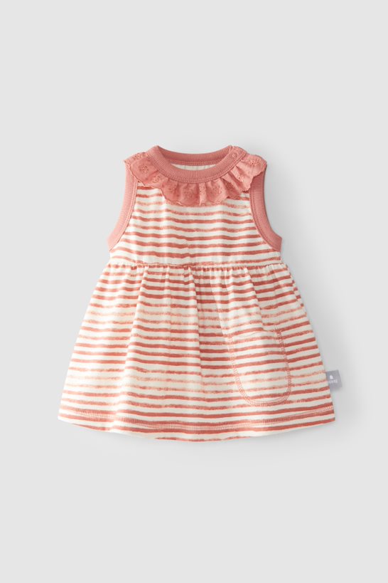 Snug Rose Lace Stripe Dress