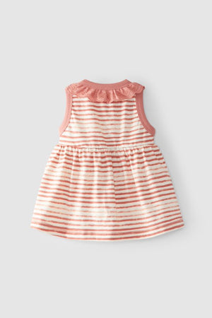 Snug Rose Lace Stripe Dress