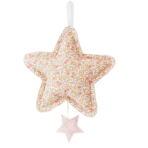 Star Musical Toy Hanger