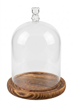 Glass-Wood Dome Bear