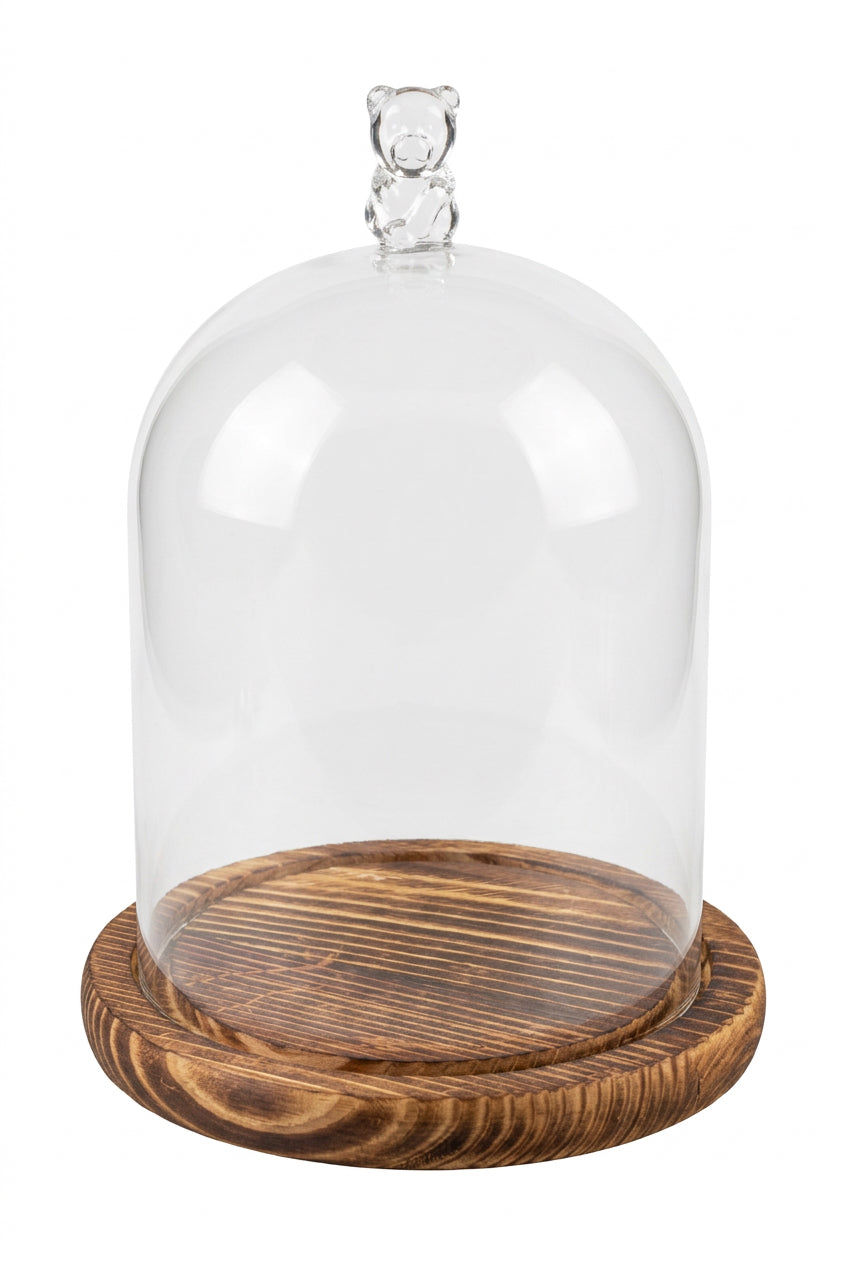 Glass-Wood Dome Bear