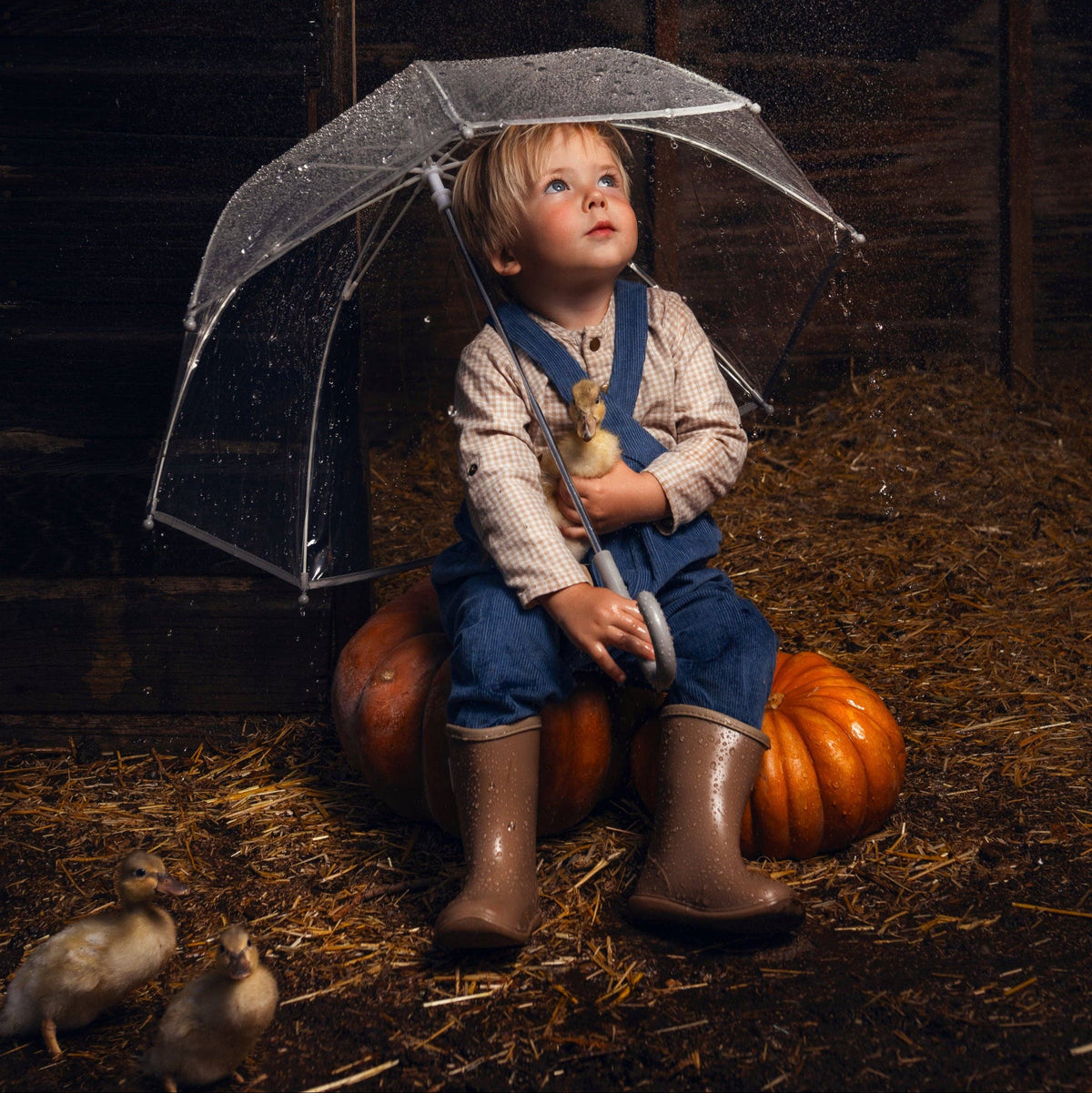 Lillies Dream - The Pebble Suspender Pants