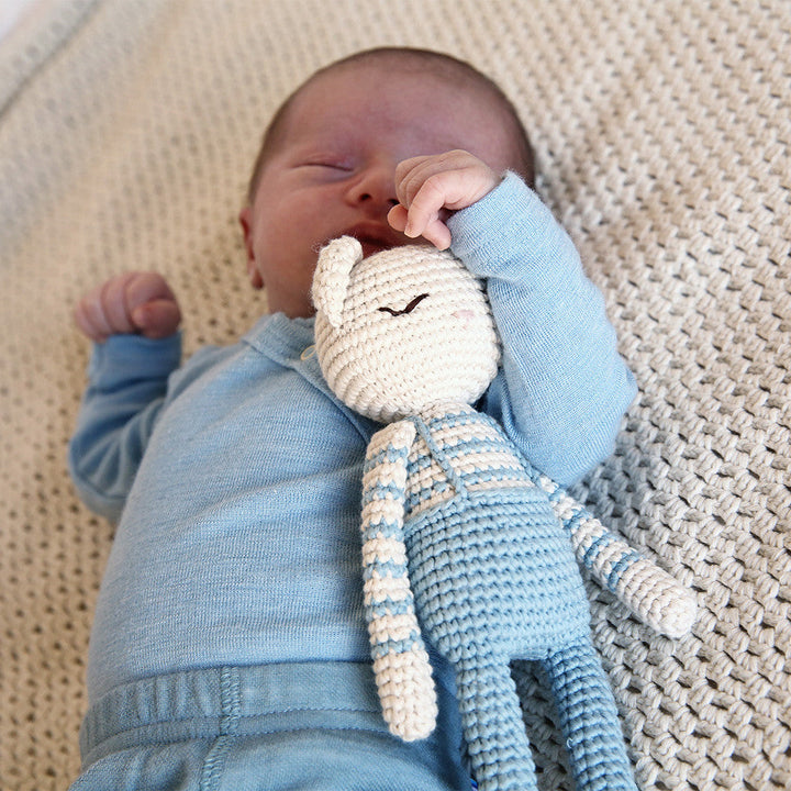 Teddy Blue Organic Cotton