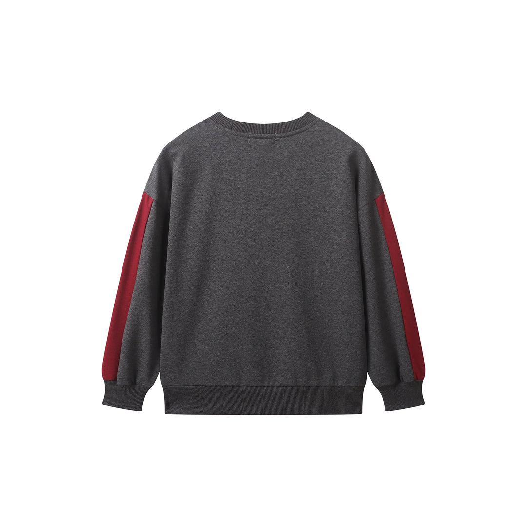 Lemonana Whimsy Boys Sweatshirt