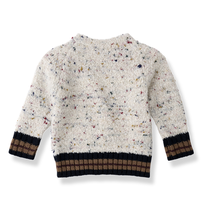 1+ in the Family Ander Rice Sweater
