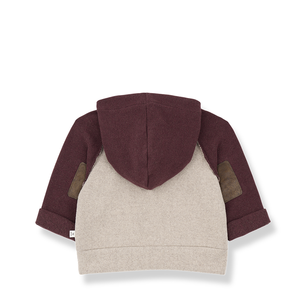 1+ in the Family Hakon Tortora Hooded Sweater