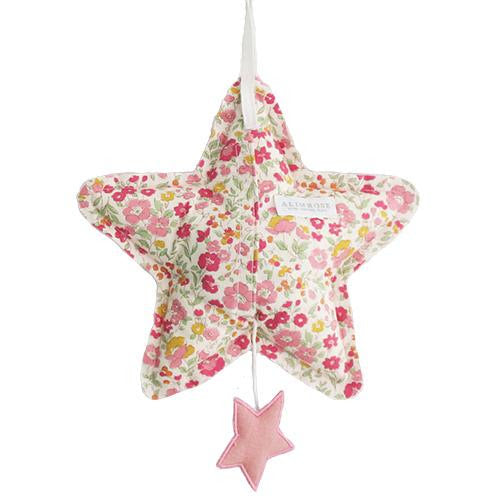 Star Musical Toy Hanger