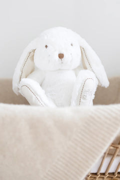 Tartine et Chocolat Augustin the Rabbit