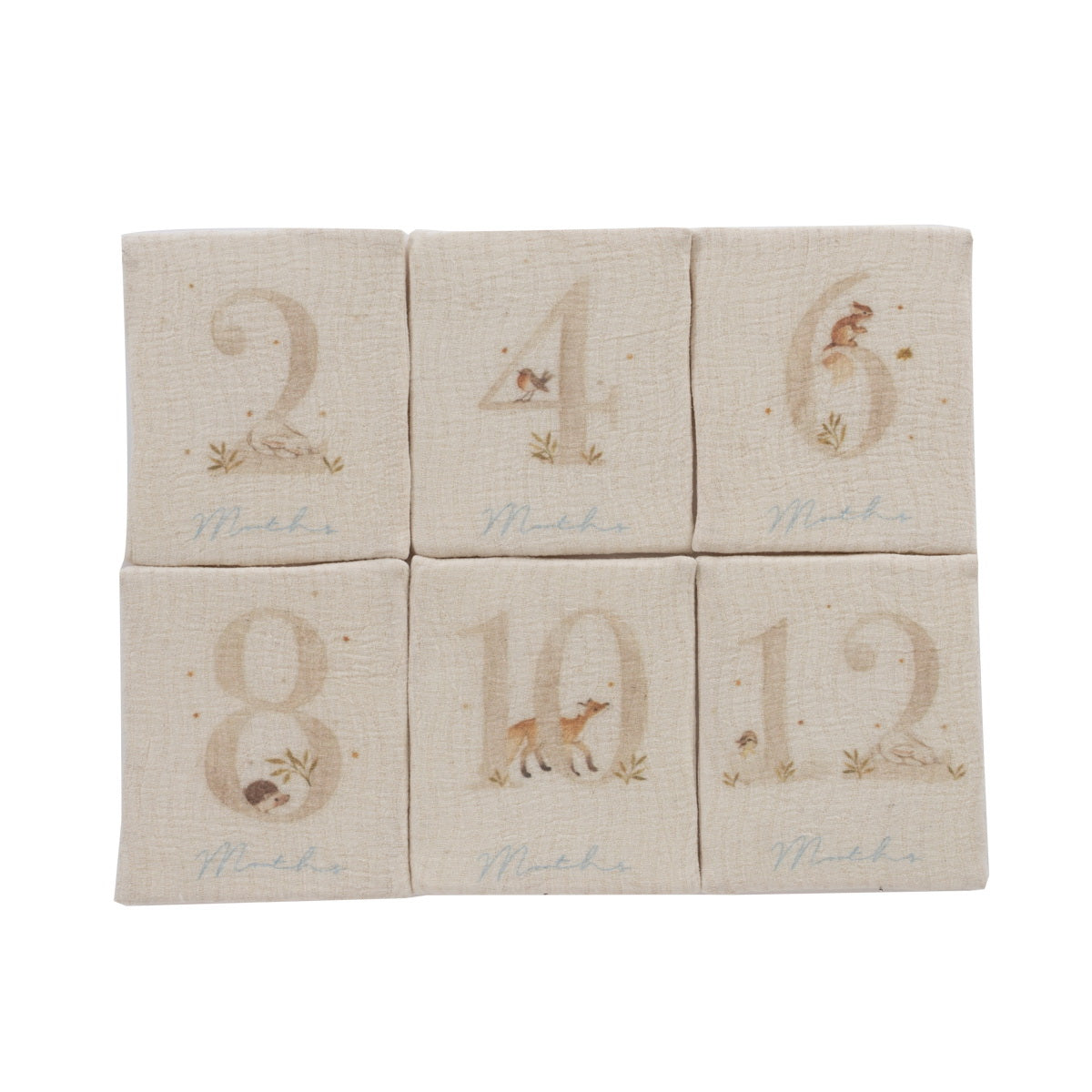 Kipp Baby Blue Baby's First Year Plush Set