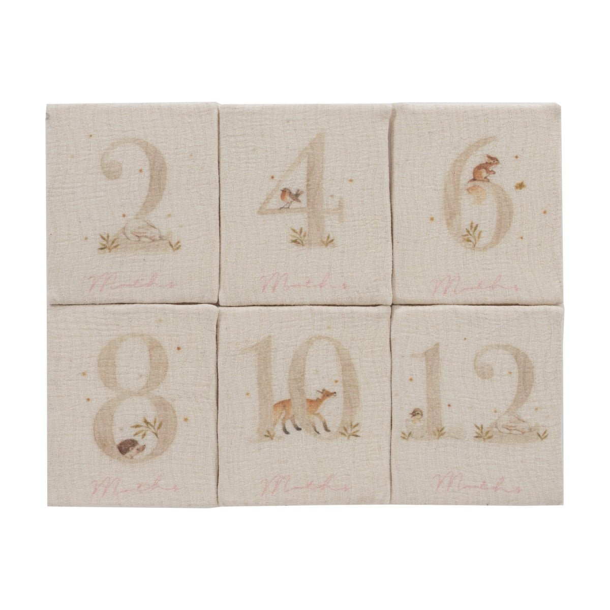 Kipp Baby Pink Baby's First Year Plush Set