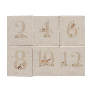 Kipp Baby Pink Baby's First Year Plush Set
