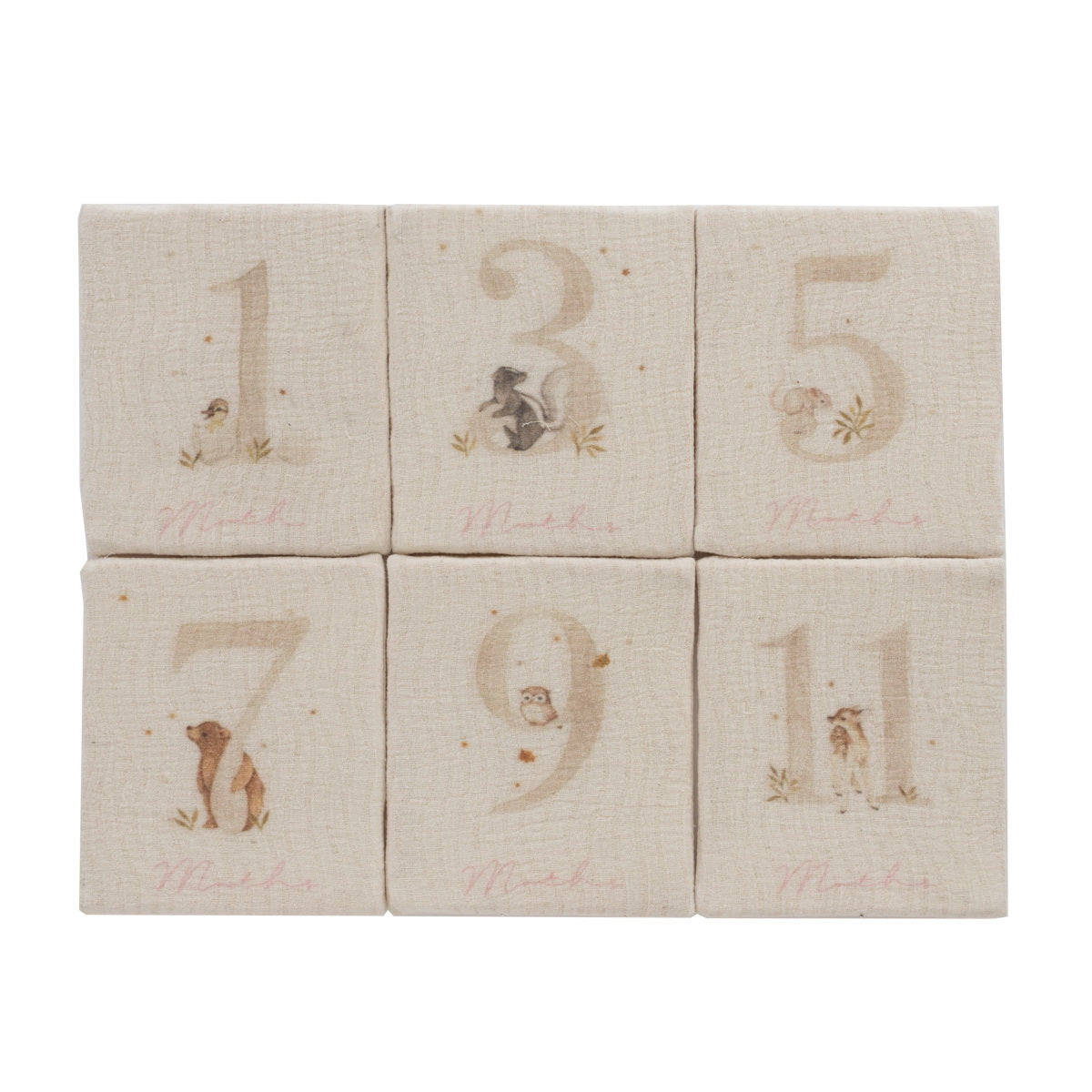 Kipp Baby Pink Baby's First Year Plush Set
