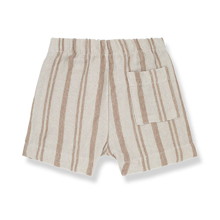 1+ in the Family Peter Biscotto Bermuda Shorts