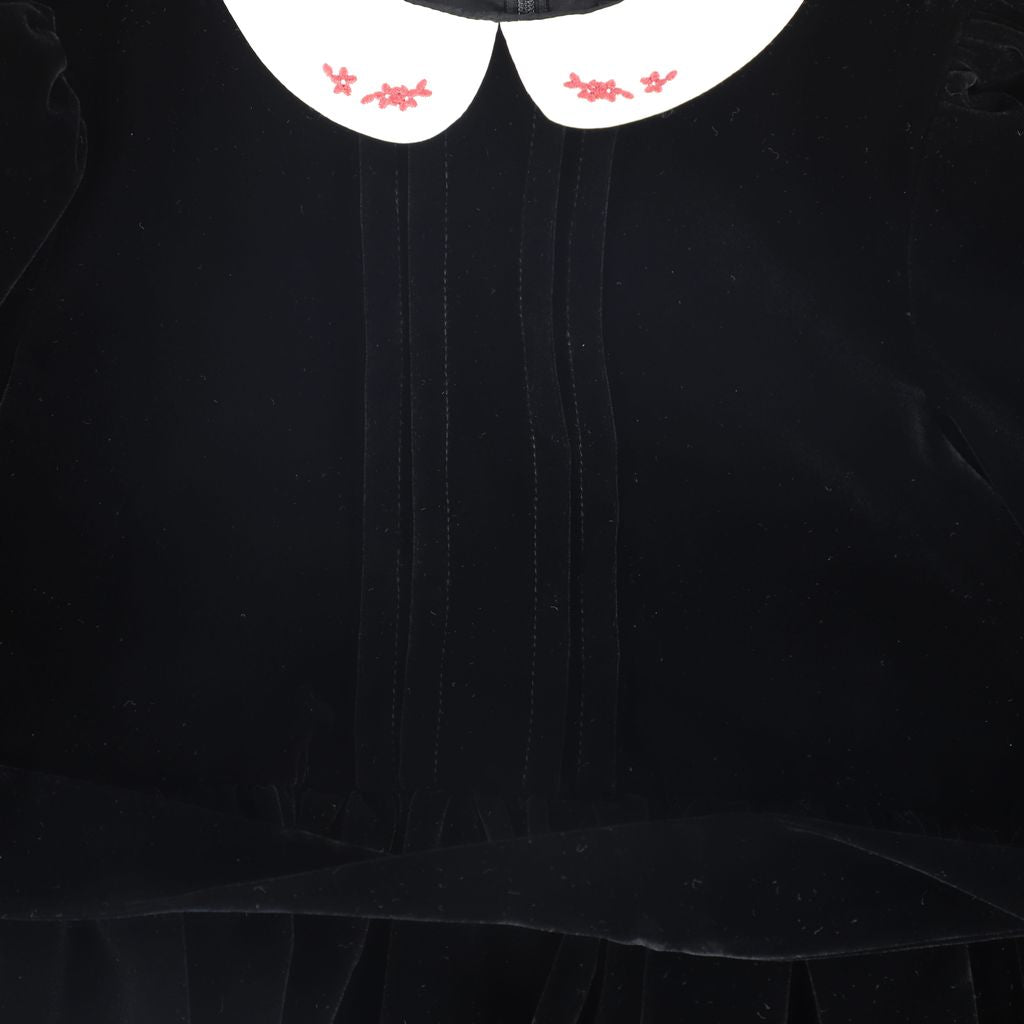Francesca Guiliano - Velvet Embroidered Collar Gown