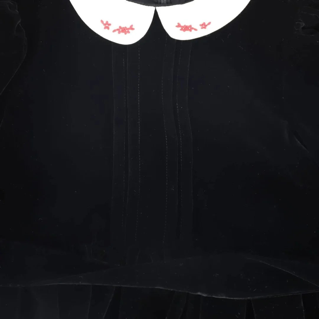 A high-resolution close-up of the intricate embroidery on the velvet collar.