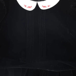 A high-resolution close-up of the intricate embroidery on the velvet collar.