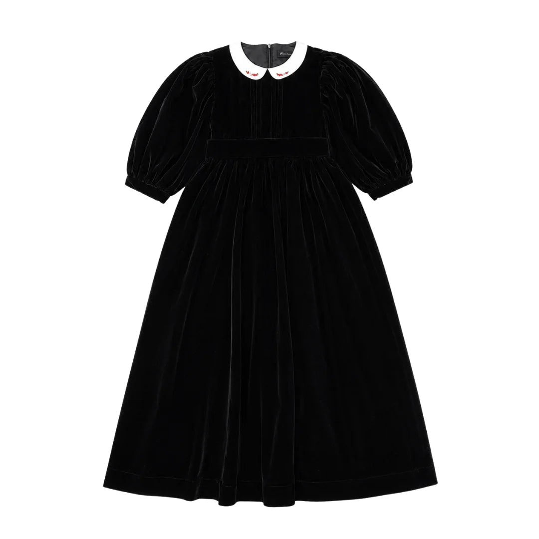 A front view of the Francesca Guiliano velvet embroidered collar formal gown.