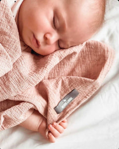 Petite Laure Swiss Dot  Baby Blanket