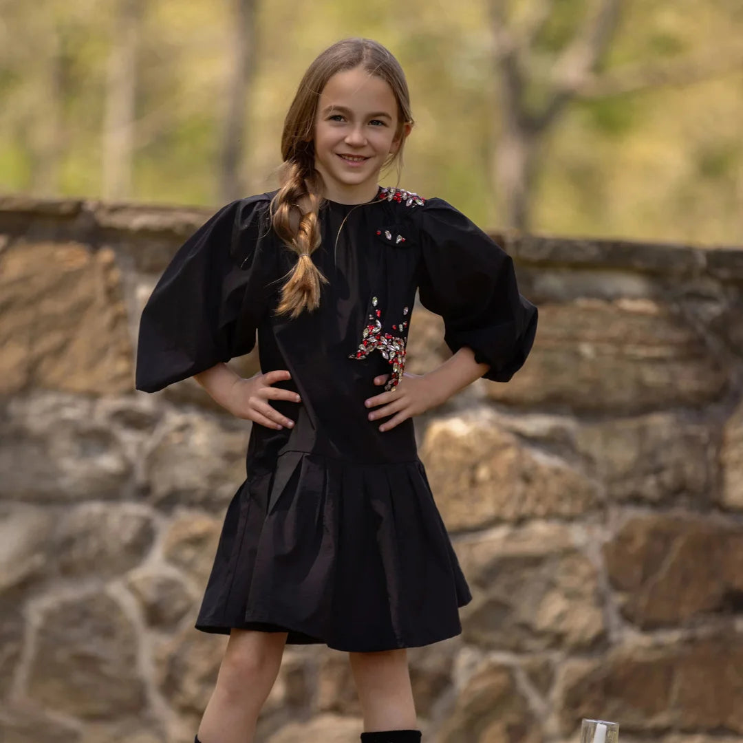 A toddler wearing the La Nina taffeta dress during a holiday portrait session.