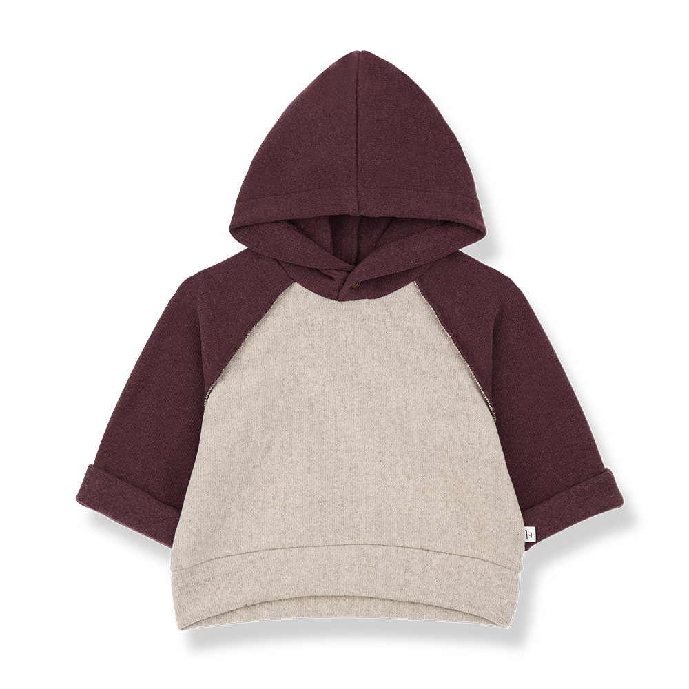 1+ in the Family Hakon Tortora Hooded Sweater