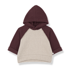 1+ in the Family Hakon Tortora Hooded Sweater