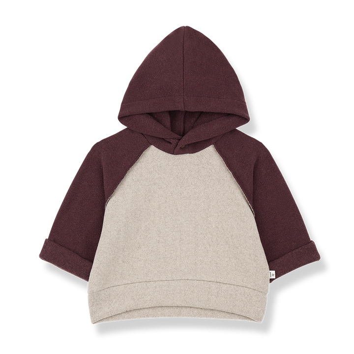 1+ in the Family Hakon Tortora Hooded Sweater