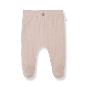 1+ in the Family Nude Giotto Set