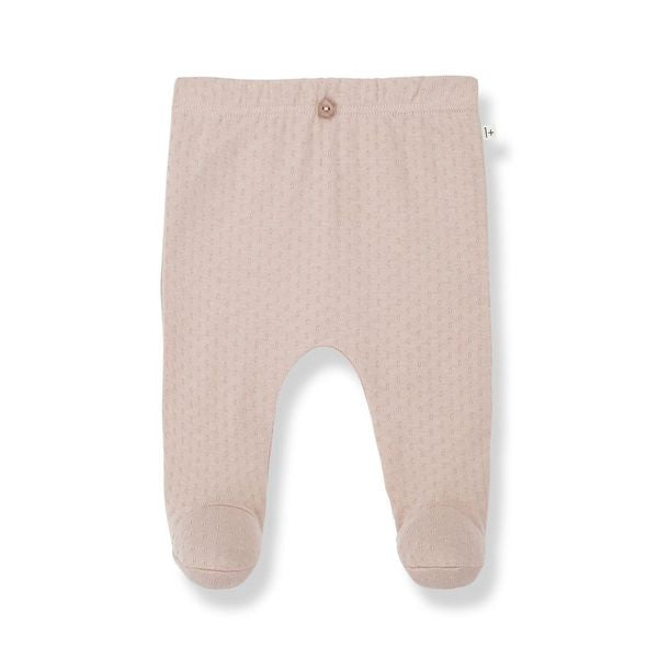 1+ in the Family Nude Giotto Set